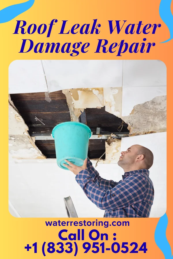 Roof Leak Water Damage Repair in Sadieville, KY